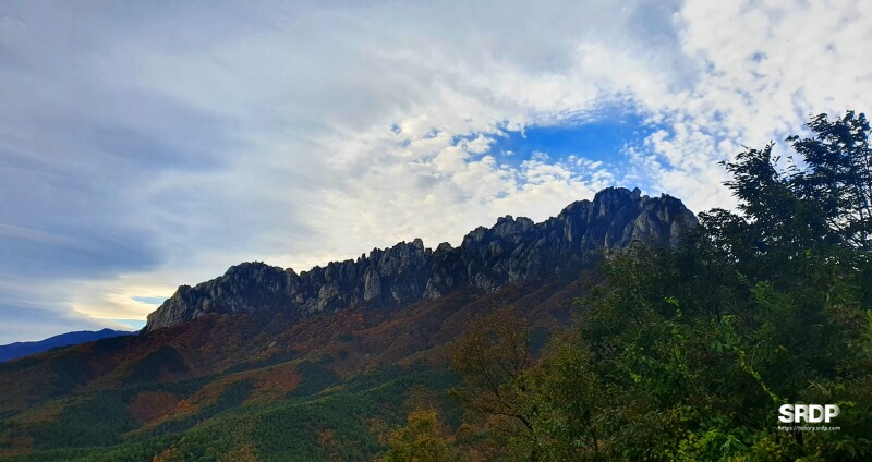 더엠브로시아-울산바위-울산바위뷰-카페