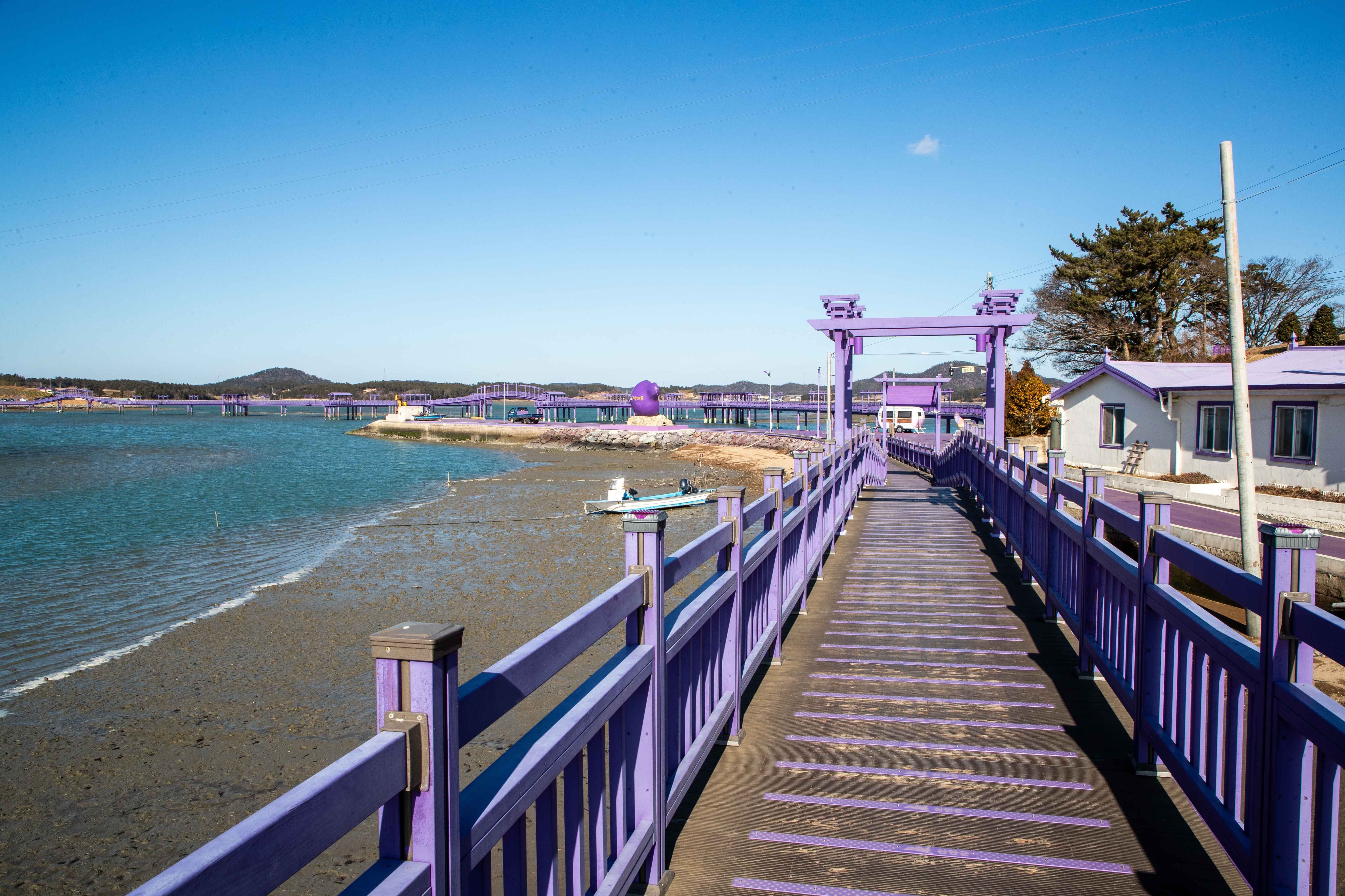 신안 퍼플섬과 퍼플교 사진