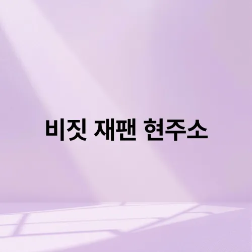 비짓 재팬 현주소