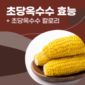 옥수수 효능과 옥수수 삶는 방법 전자렌지 초당옥수수 찰옥수수 차이 비교 자료_11