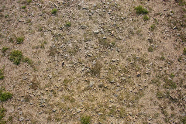 토지(임야)대장