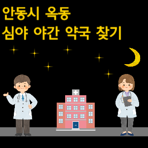안동시 옥동 심야 야간 약국 찾기
