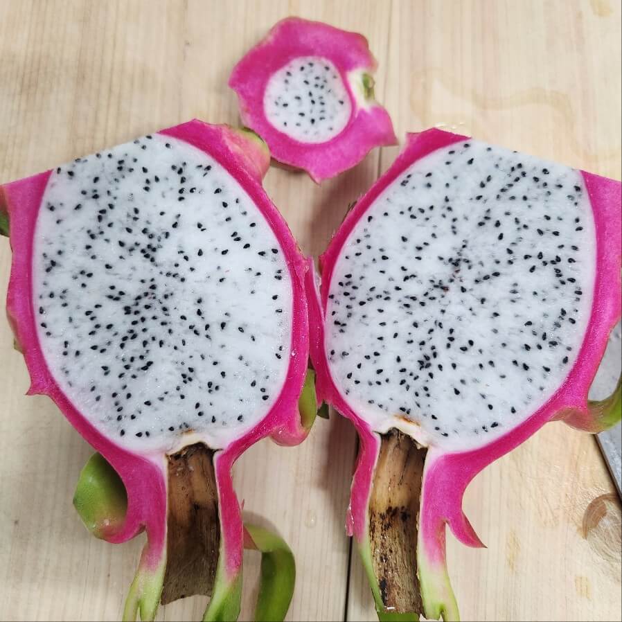 용과 자르기