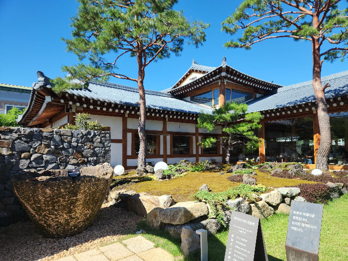 The Hanok building harmonizes with the pine trees.