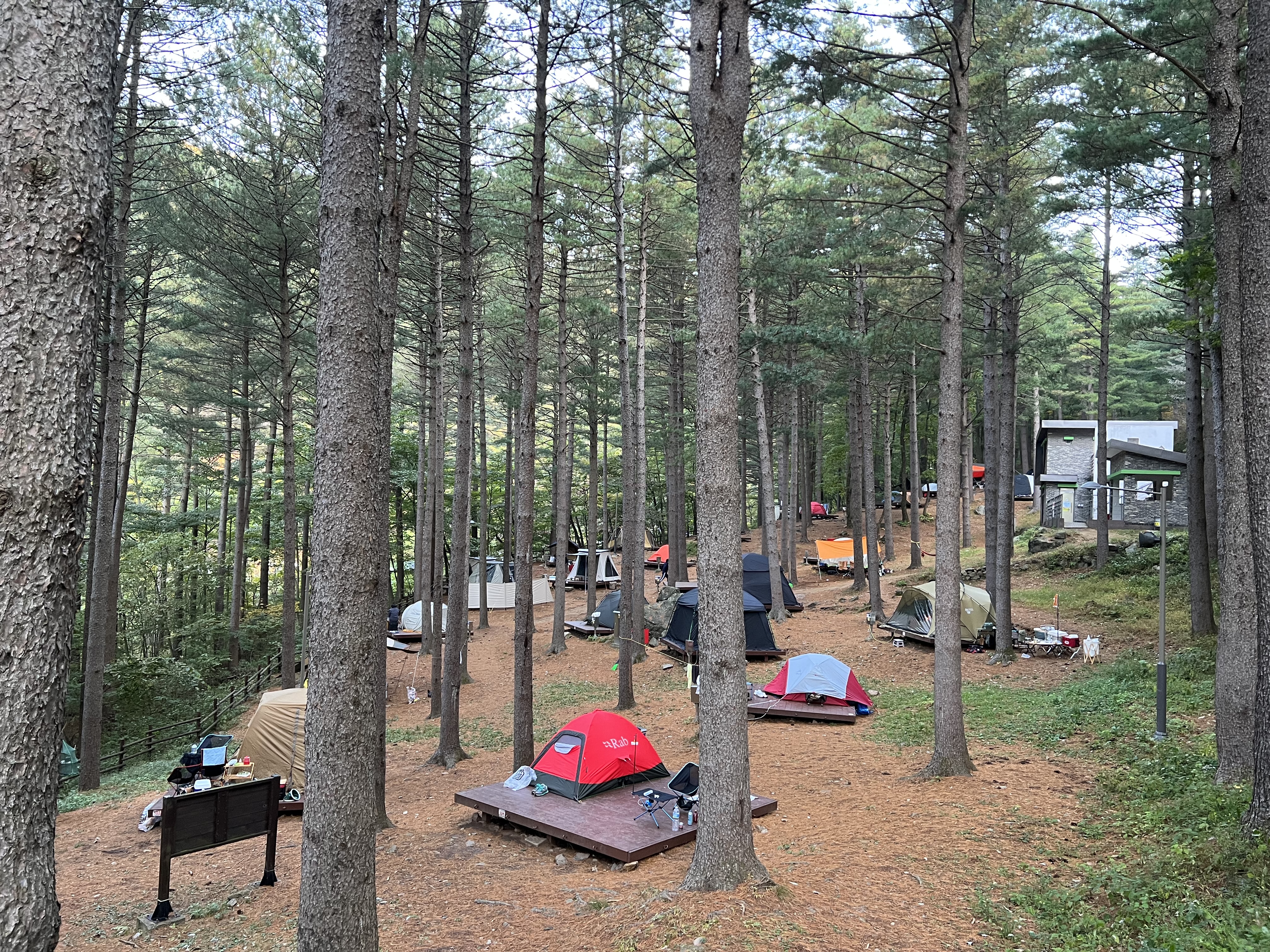 국립덕유산자연휴양림(전북 무주)