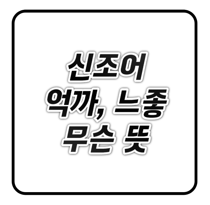 신조어_억까_느좋_뜻