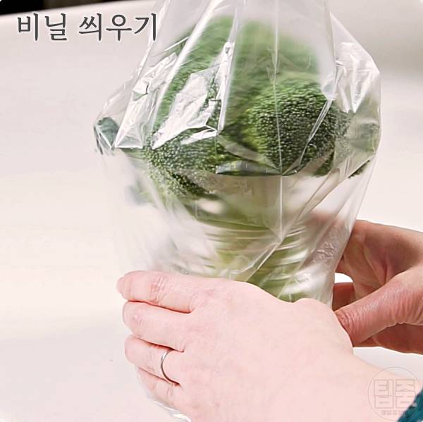 브로콜리 보관법 보관기간