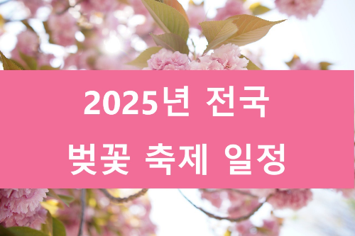 전국 벚꽃 축제
