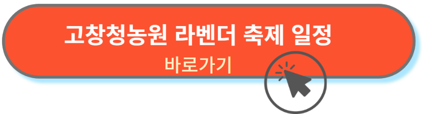 축제일정안내