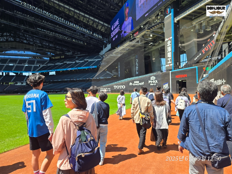 에스콘필드 외야 펜스 쿠션 안전성 체험