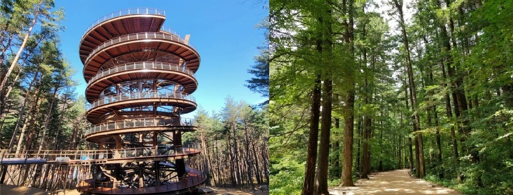 탐방 외 즐길 거리