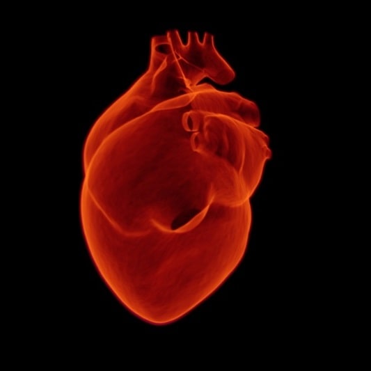 협심증 초기증상