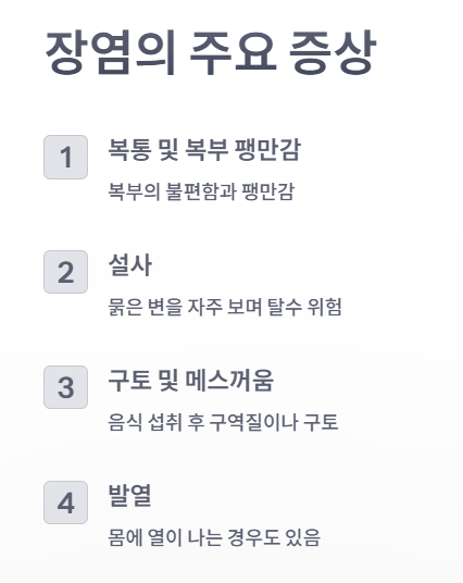 장염의 주요 증상