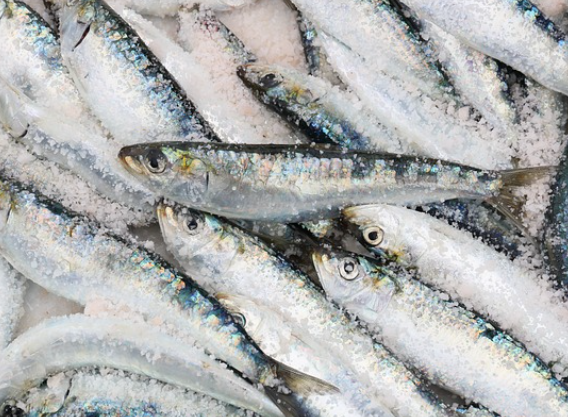 기억력을 높이고 치매를 예방하는 음식