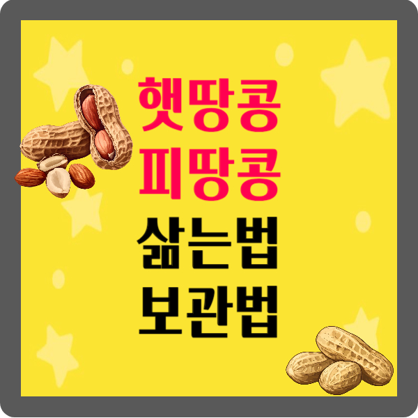햇땅콩 피땅콩 삶는 법 보관 방법