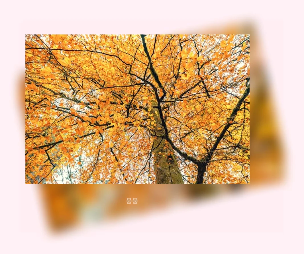 사계절 문화탐험_2_subsection