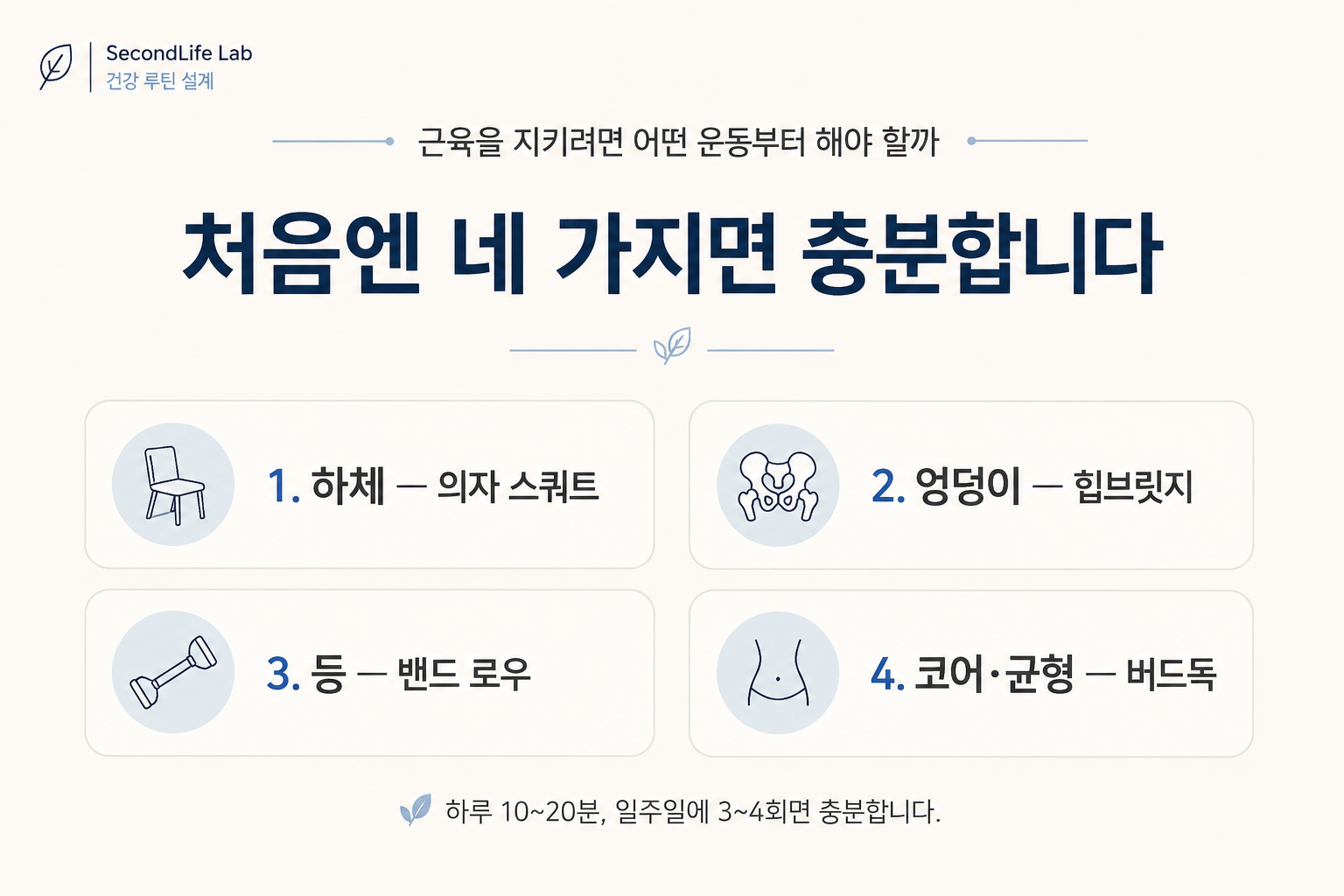 근육을 지키기 위해 하체 의자 스쿼트, 엉덩이 힙브릿지, 등 밴드 로우, 코어와 균형 버드독을 기본 운동으로 정리한 정보 이미지