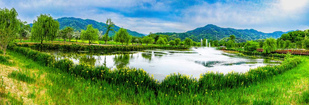 [5월 축제]창포원❘2025 거창에 온 봄 축제, 아리미아꽃축제,거창한 산양삼 축제