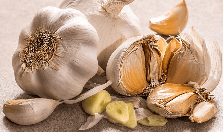 노화 방지에 좋은 음식 마늘이 놓여 있다