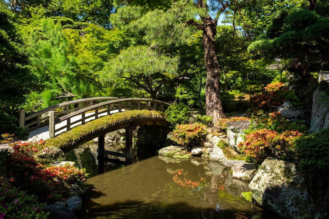 Kyoto