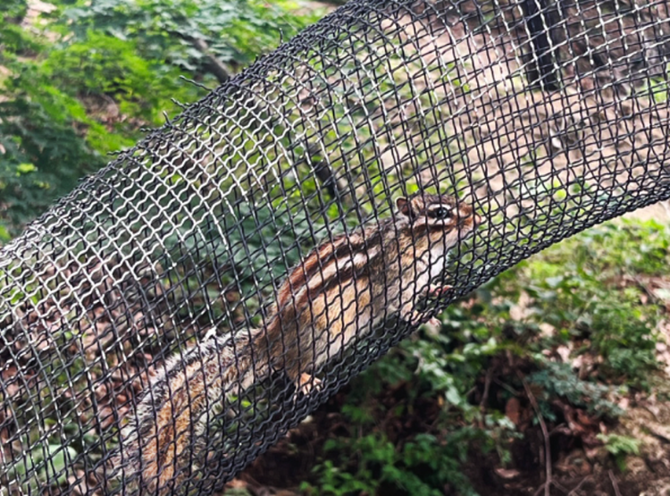산들소리 수목원