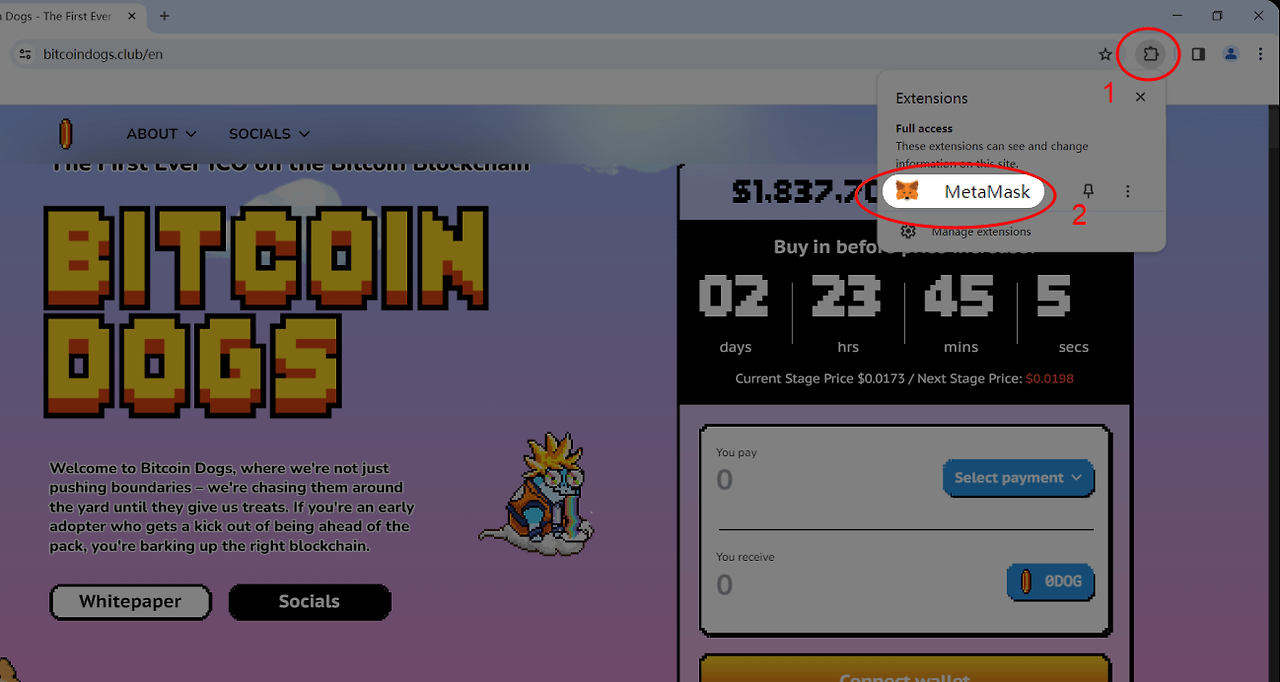 BRC-20기반 '비트코인 도그(Bitcoin Dogs)'란 무엇인가?