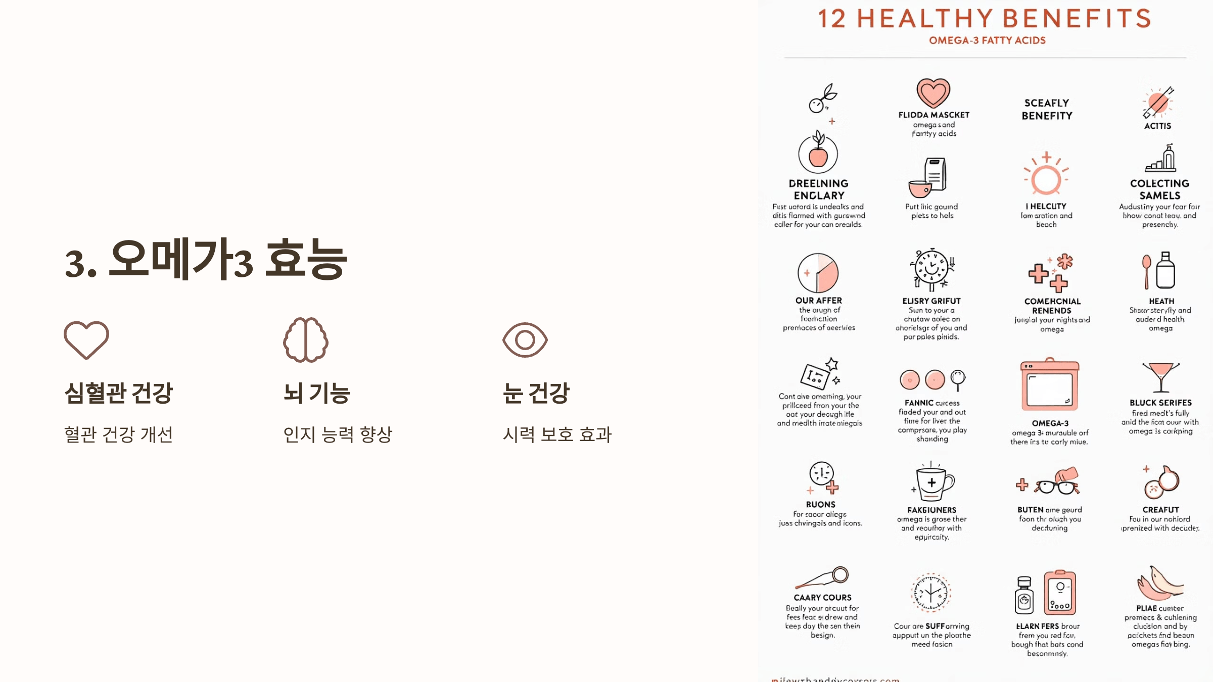 오메가3와 관련된 사진입니다.