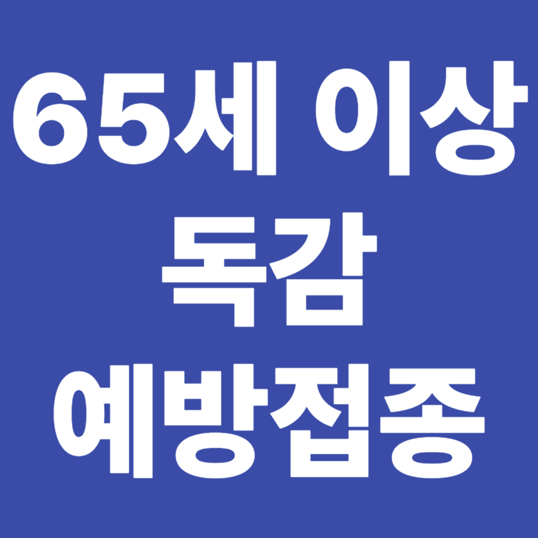 65세 이상 고령자 독감 예방접종