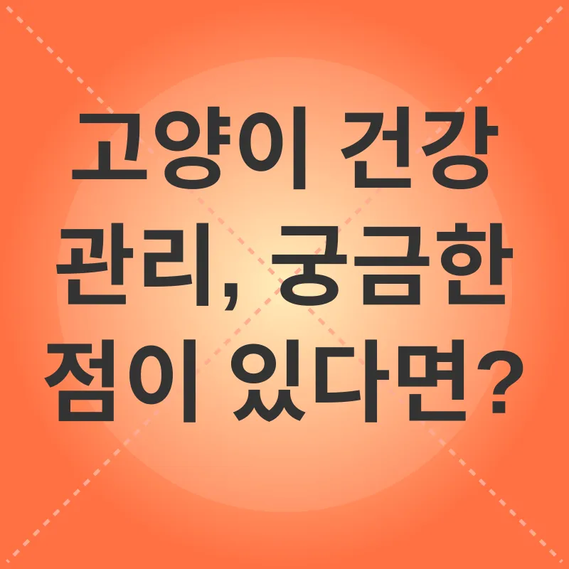 고양이 건강 관리_4