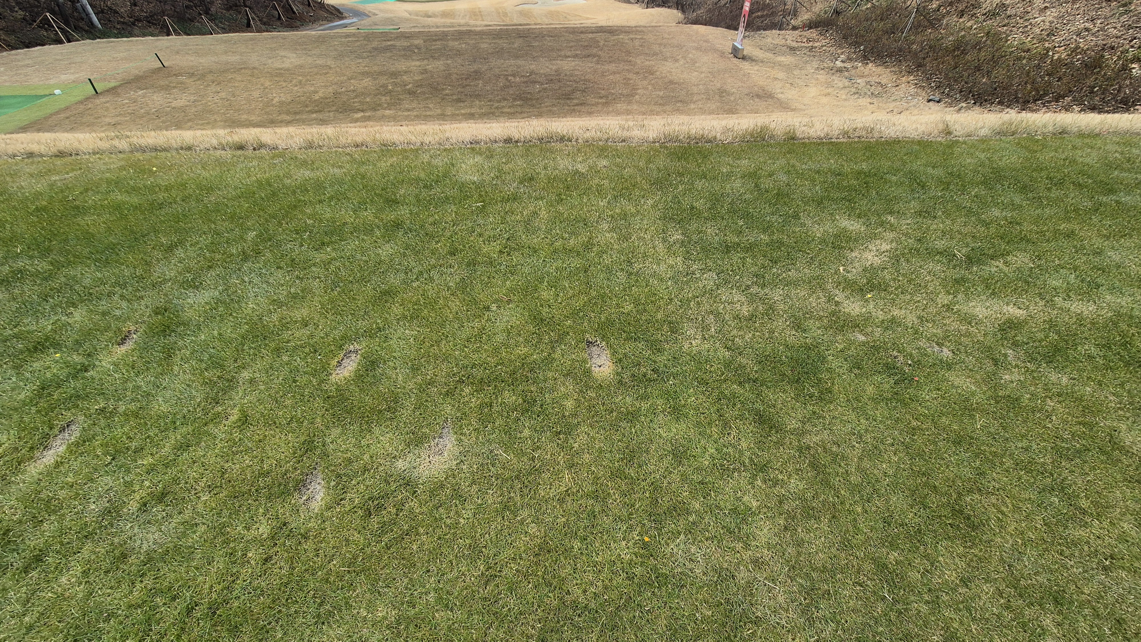 모나크cc 라운드 후기 티잉구역상태