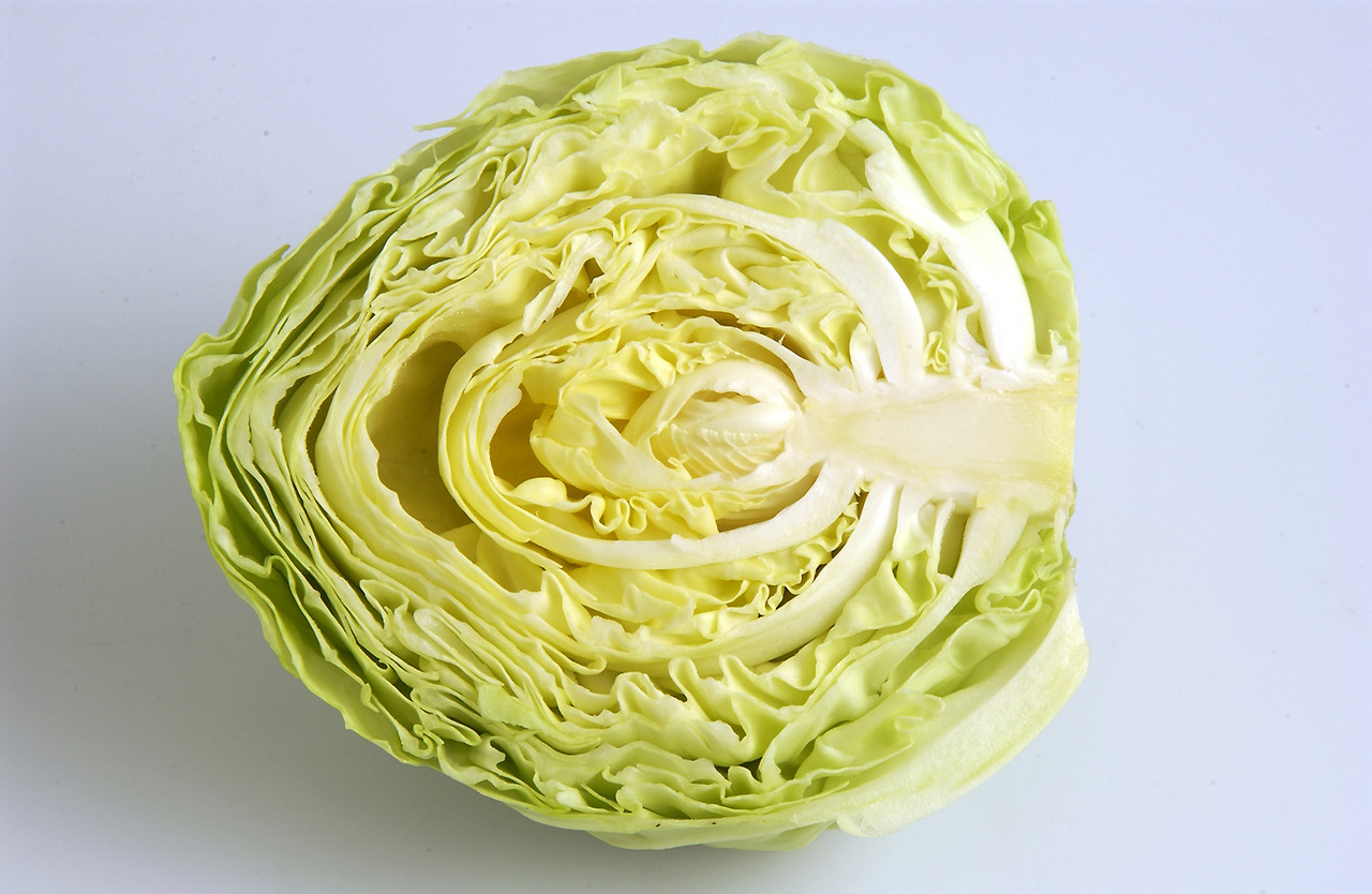 양배추 이미지/ 출처 - 닥터나우