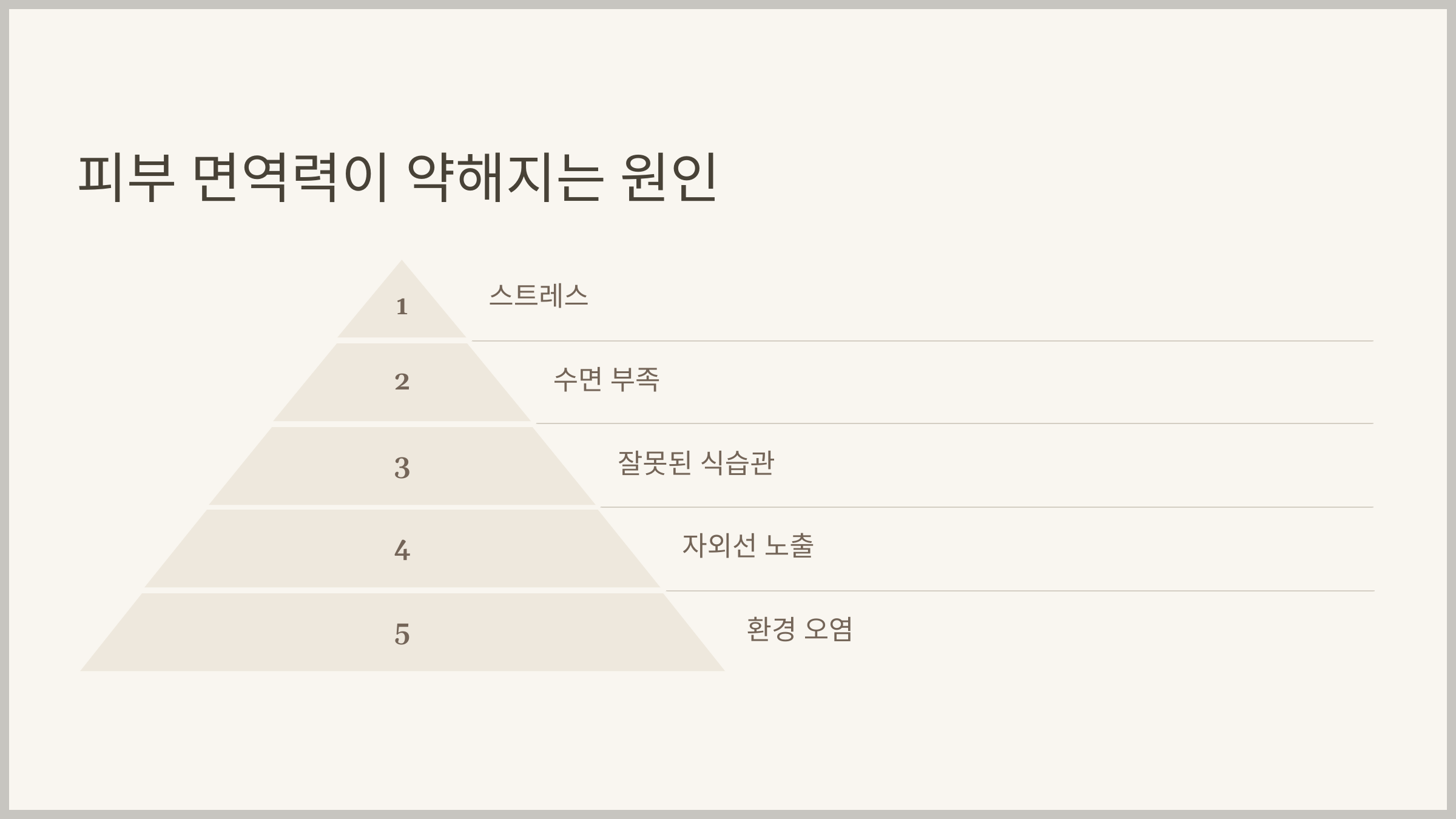 피부 면역력 강화