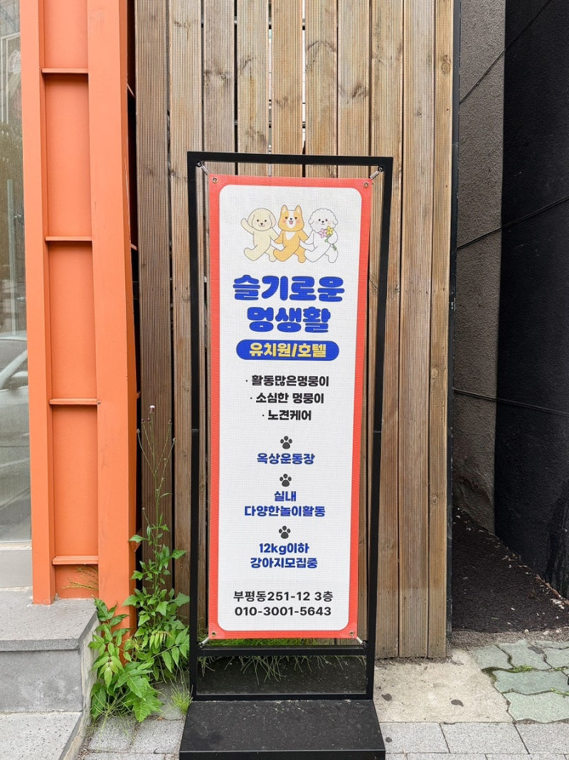 애견동반 가능 표시가 있는 숙소 모습