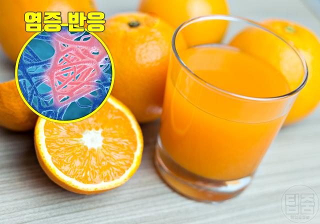 과일주스 종류 효능 오렌지주스 염증