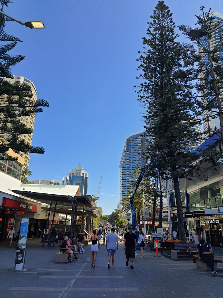 서퍼스 파라다이스 캐빌 애비뉴 길