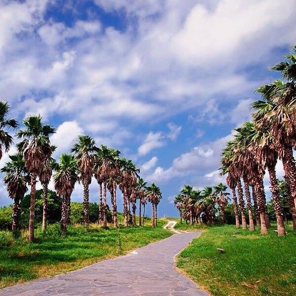 국내 이국적인 역대급 여행지 추천