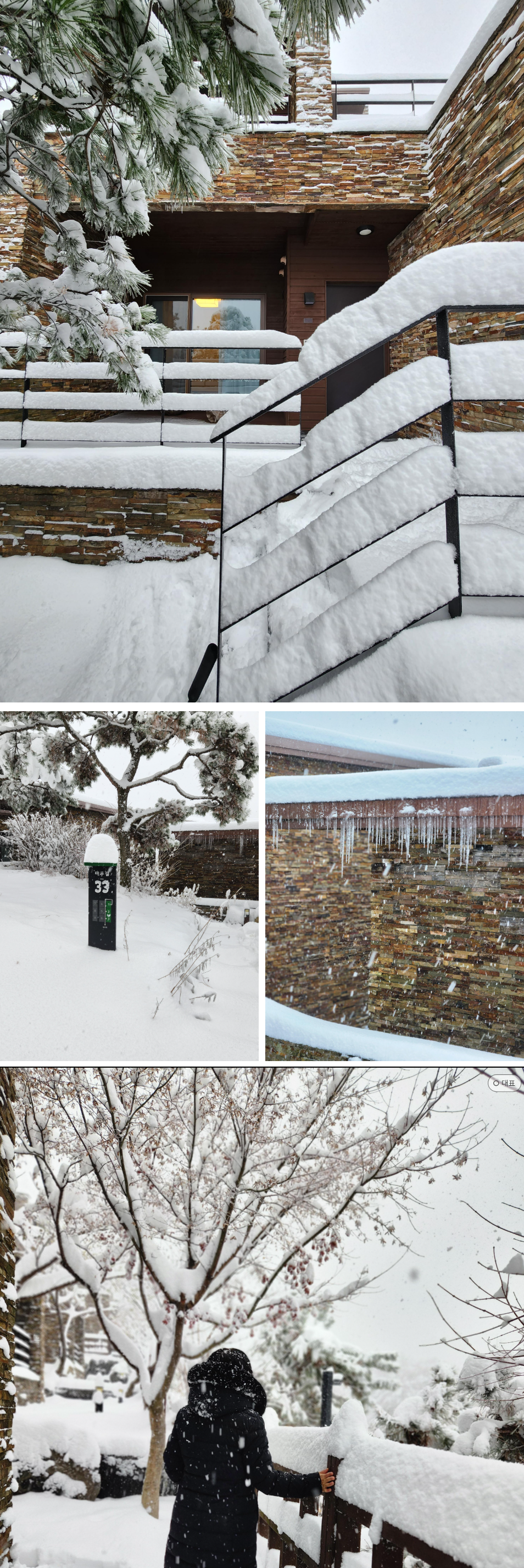 제천 포레스트리솜