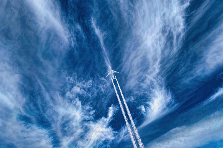 제주도 갈 땐 꼭 챙기세요! 2025 제주 관광지도 무료로 받는 법 (다운로드/우편신청)