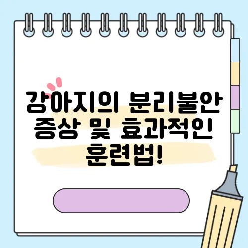 강아지의 분리불안 증상 및 효과적인 훈련법!