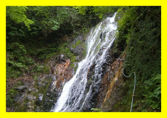 국립자연휴양림 예약&amp;#44; 국립자연휴양림 예약 성수기 추첨&amp;#44; 국립자연휴양림 추첨&amp;#44; 국립자연휴양림 성수기 추첨&amp;#44; 국립자연휴양림 성수기 예약 추첨&amp;#44; 국립자연휴양림 예약 신청방법&amp;#44; 국립자연휴양림 예약통합시스템&amp;#44;신시도 국립자연휴양림&amp;#44; 국립자연휴양림 위약금&amp;#44; 국립 자연휴양림 예약&amp;#44; 국립 자연휴양림 성수기 예약&amp;#44; 국립 자연휴양림 성수기 추첨&amp;#44; 국립 자연휴양림 성수기 추첨 예약&amp;#44; 국립 자연휴양림 예약 성수기 추첨&amp;#44; 국립 자연휴양림 예약 신청방법&amp;#44; 국립 자연휴양림 성수기 추첨 신청방법&amp;#44; 국립 자연휴양림 취소 수수료&amp;#44; 국립 자연휴양림 예약 취소 수수료&amp;#44; 국립 자연휴양림 장애인 할인&amp;#44; 국립자연휴양림 성수기 예약일정&amp;#44; 국립 자연휴양림 성수기 예약일정&amp;#44; 신시도 국립 자연휴양림&amp;#44; 국립 자연휴양림 비용&amp;#44; 국립자연휴양림 신청방법&amp;#44; 국립자연휴양림 예약취소방법&amp;#44; 국립자연휴양림 이용요금