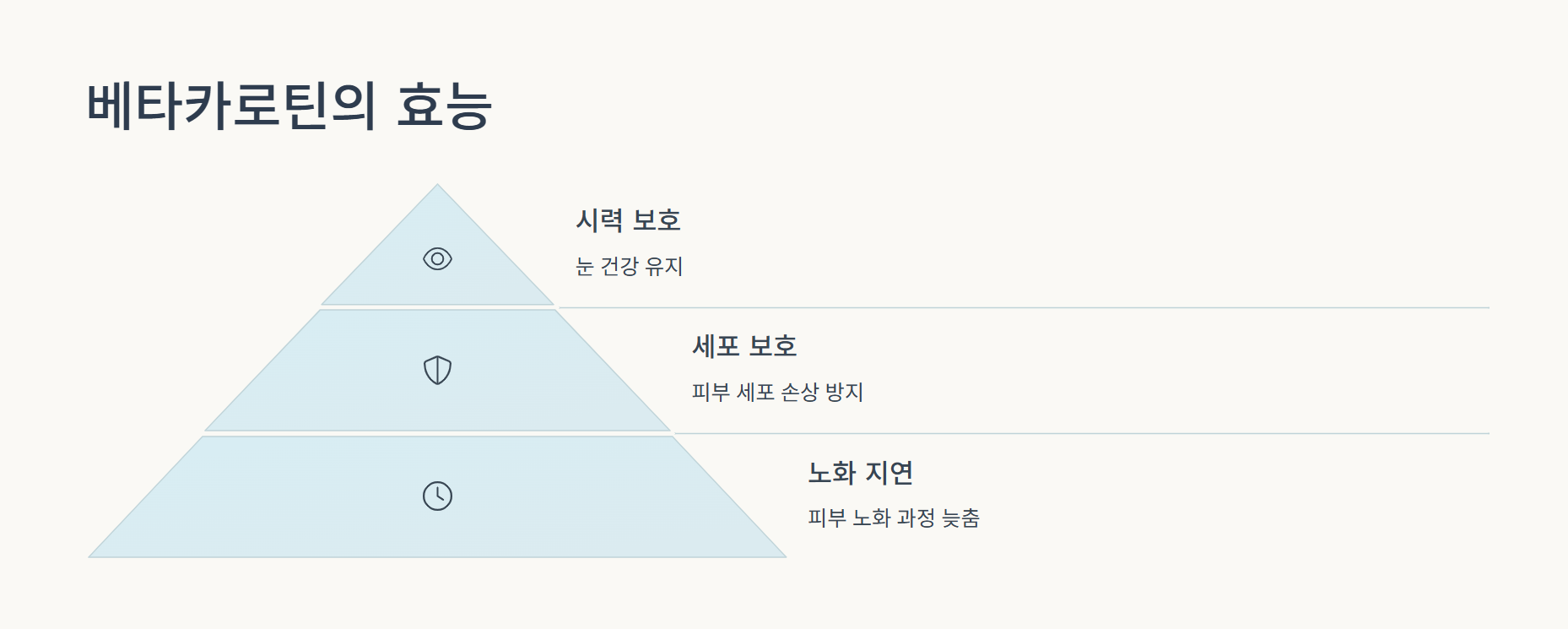 베타카로틴: 시력 보호에서 항산화까지
