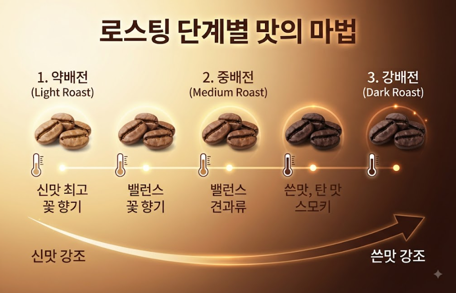 원두 취향별 특징과 대표 종류