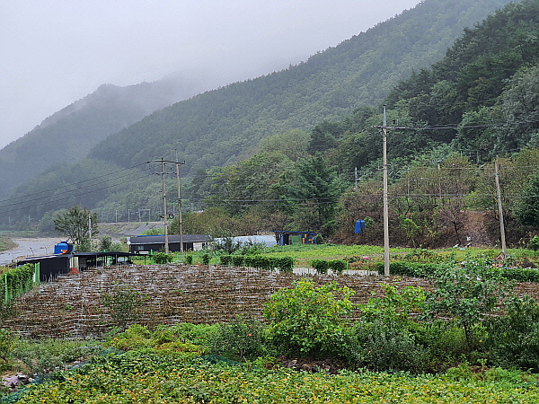 운탄고도 여행
