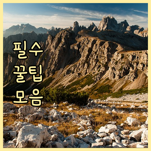 $21 ESTA 인상 미국 경유도 필..