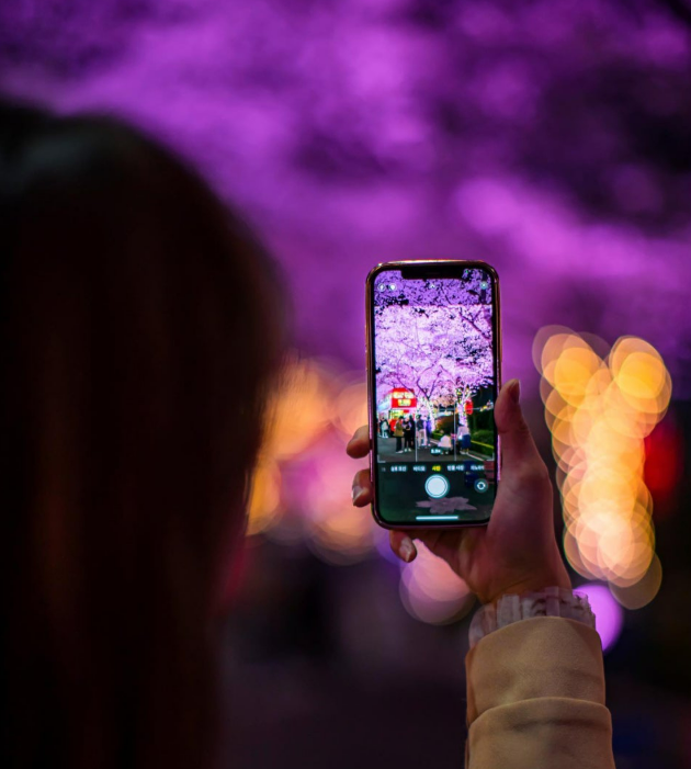 이월드-블라썸-피크닉