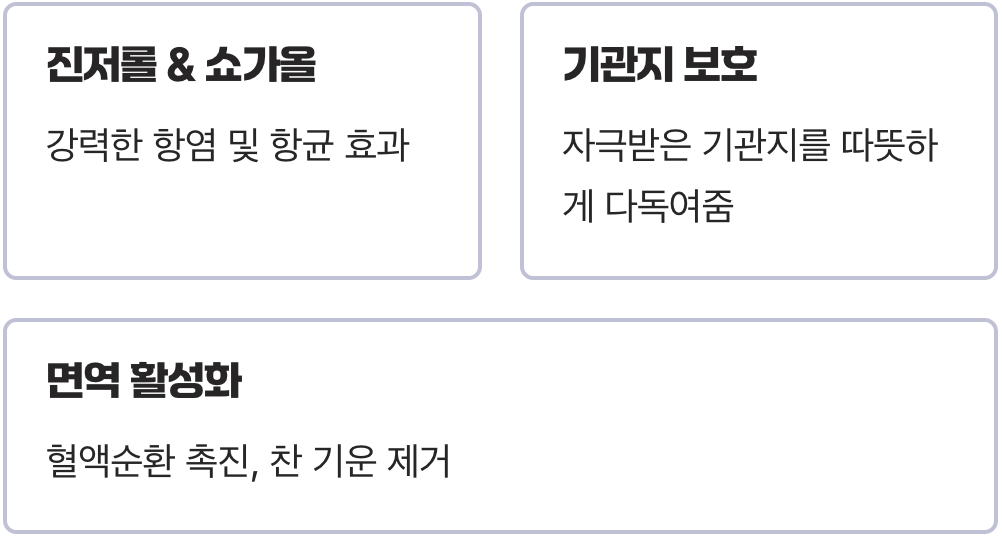 '생강' - 염증을 막는 따뜻한 방어막