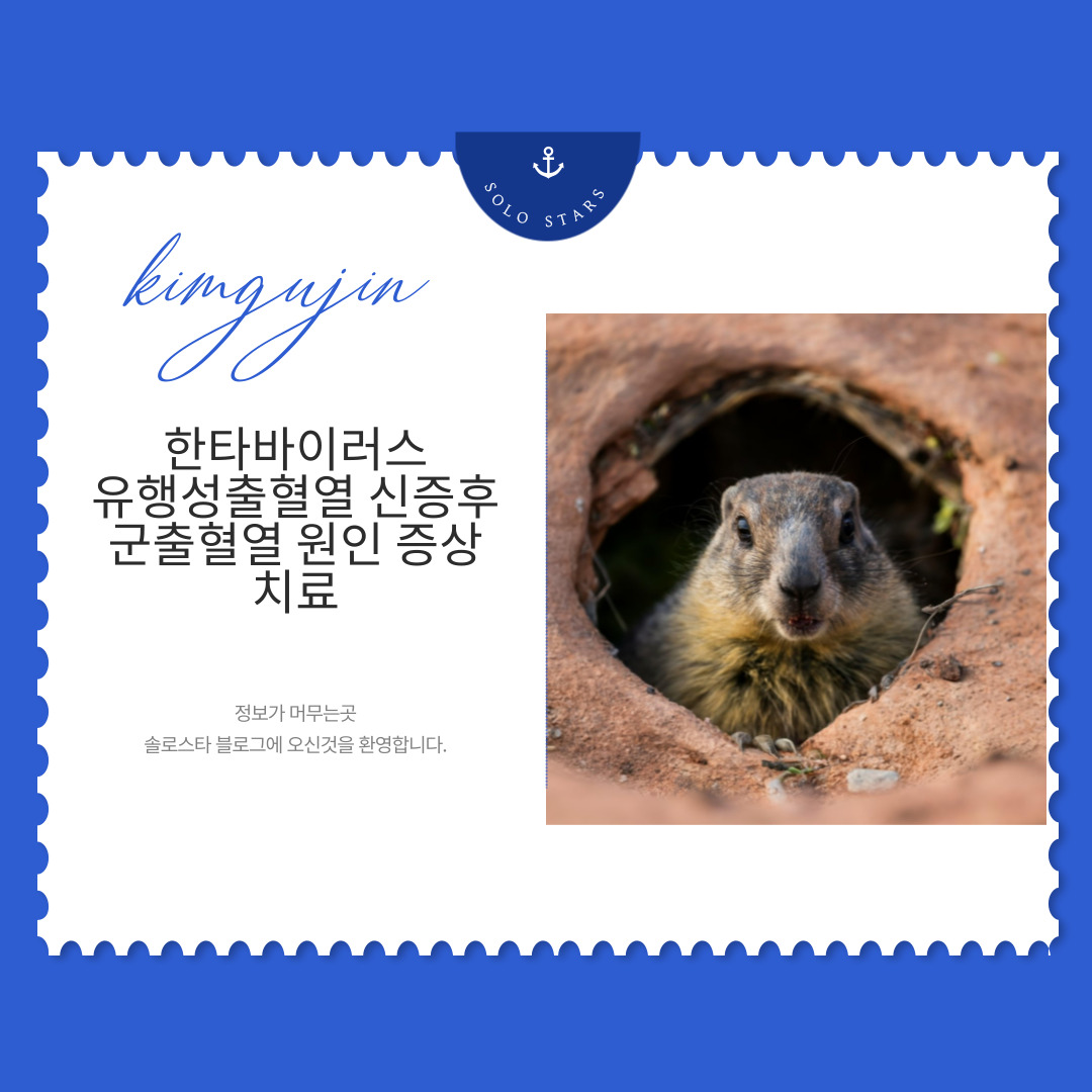 설치류 사진