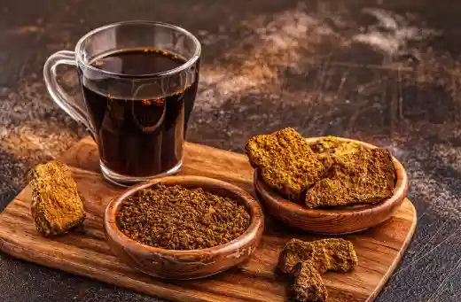 차가버섯 효능 및 부작용 섭취시 주의점