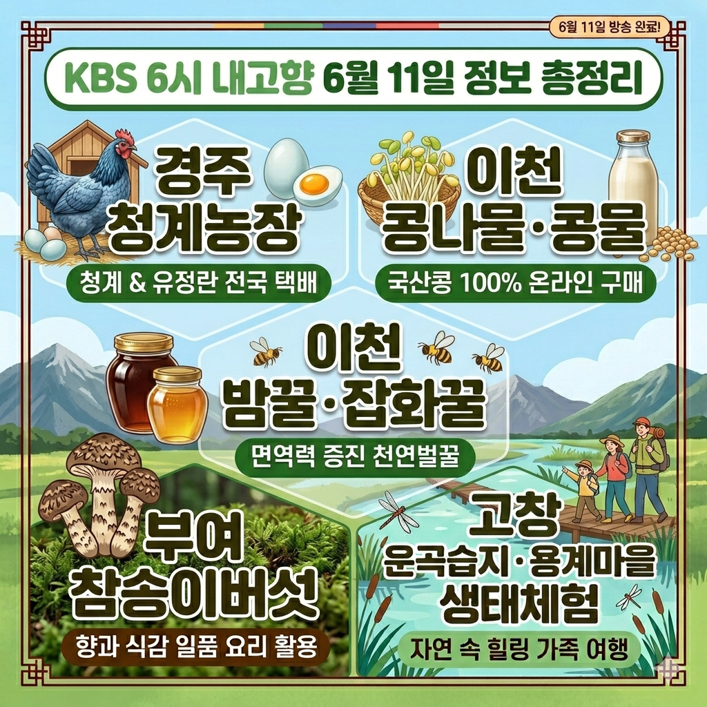 KBS 6시 내고향 6월 11일 방송