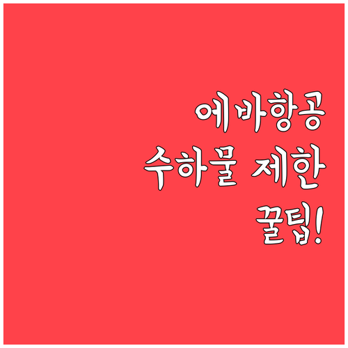 에바항공 인천공항 수하물 제한과 기내..